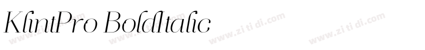 KlintPro BoldItalic字体转换 KlintPro BoldItalic字体转换
